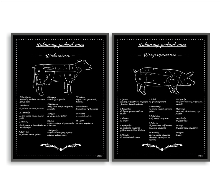 PODZIAŁ MIĘS.jpg.png