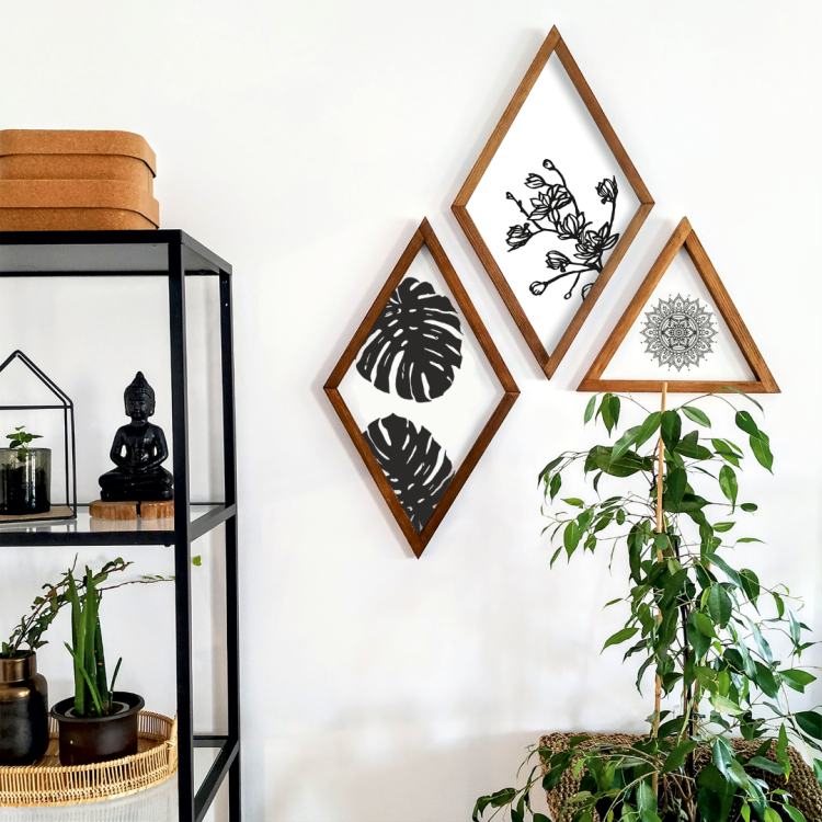 monstera biała (Large).png