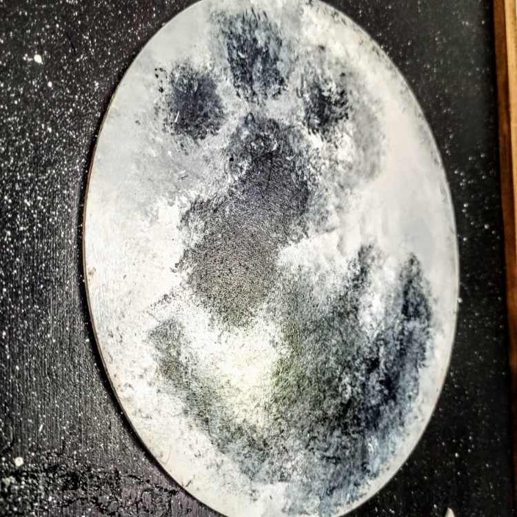 IMG_20210428_103714 (Large).jpg