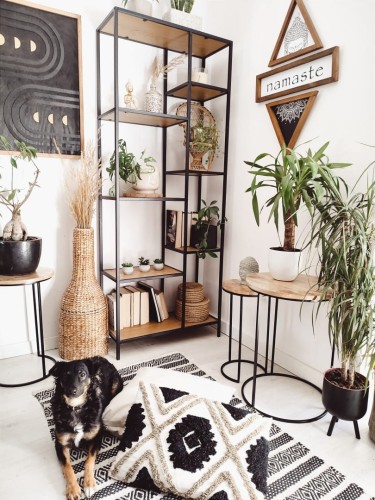 1645700037228 (Large).jpg