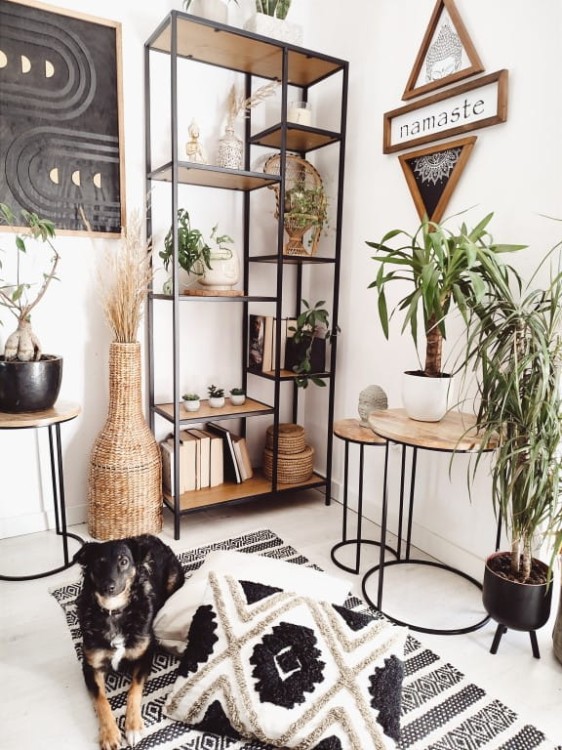 1645700037228 (Medium).jpg