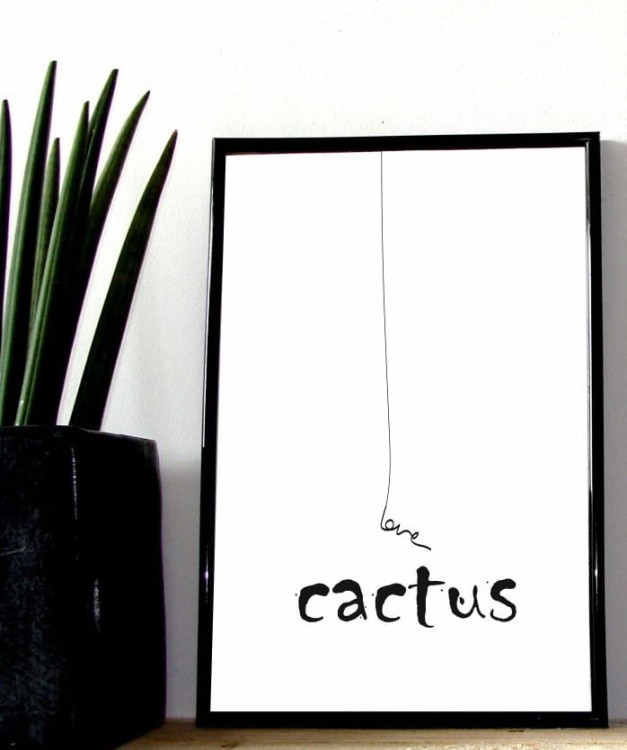 kaktus (Large) (Large)1.jpg