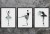 miętowe trzy1 (Large).jpg