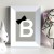 B (Large).jpg